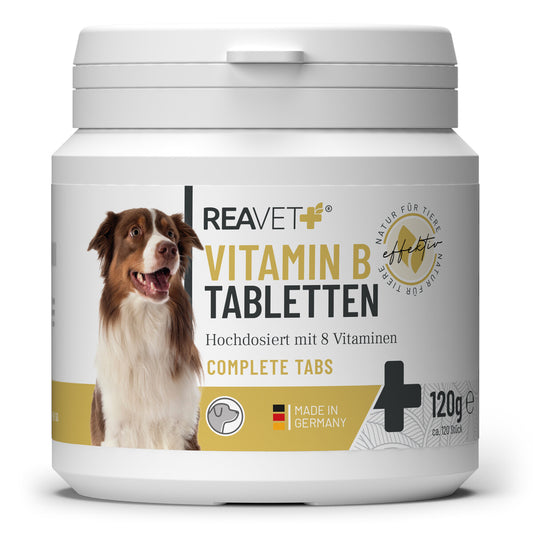 Vitamin B tablete za pse, 120 kosov